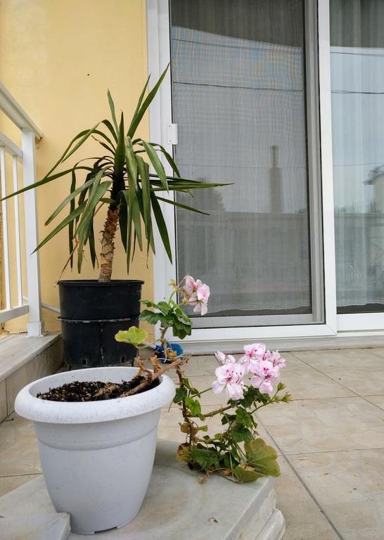 Dimitris Luxury Apartment 케라모티 외부 사진
